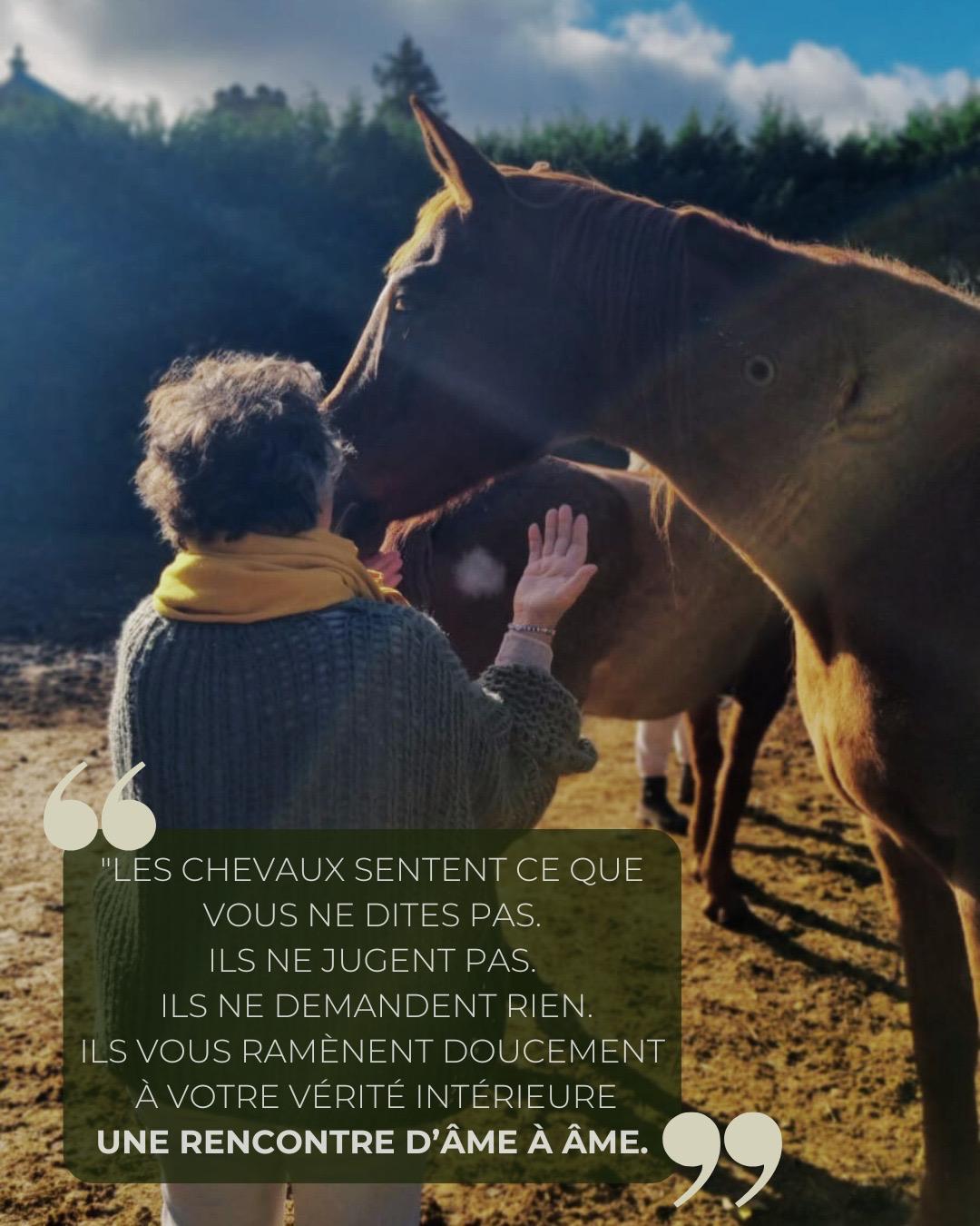 WhatsApp Image 2026-04-07 at 7.08.12 PM (2)