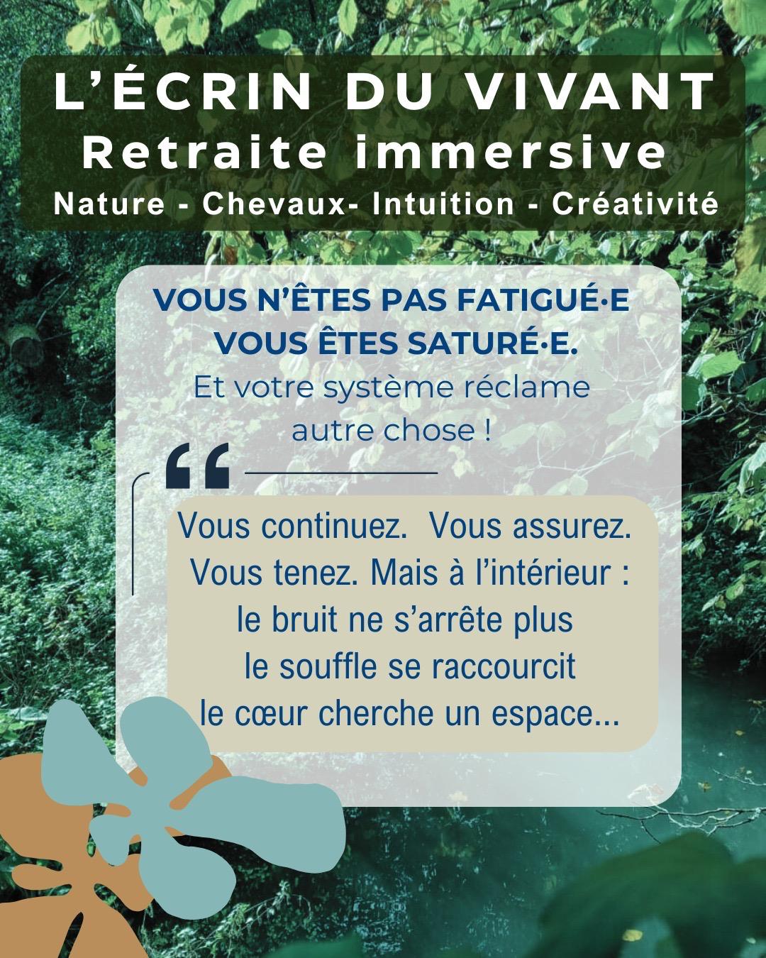 WhatsApp Image 2026-04-07 at 7.08.12 PM